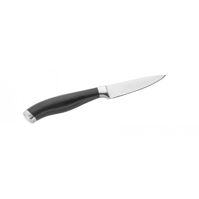 Spelucchino Professionale, Lama 10 cm - Pintinox