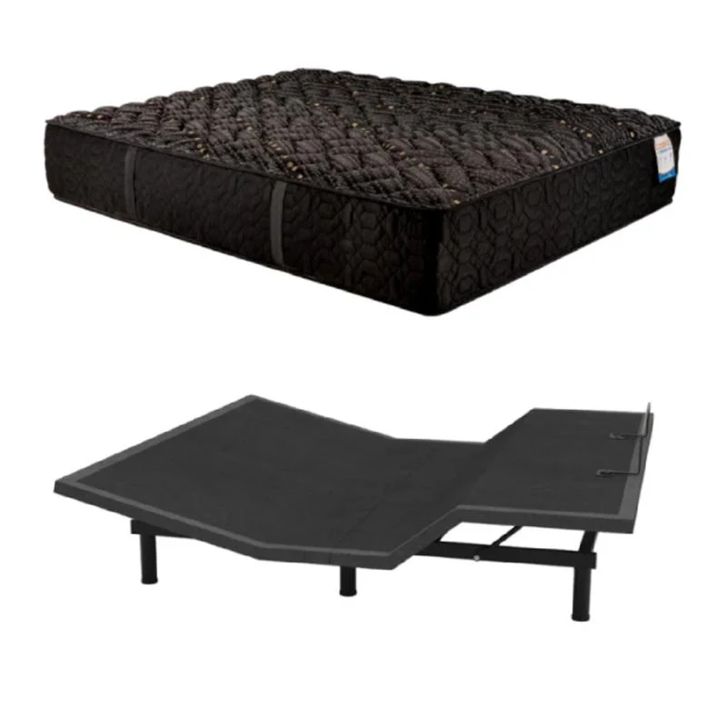Bundle: Aquarius Wireless Queen Adjustable Base + Spring Air Cobre 14" Queen Firm Mattress