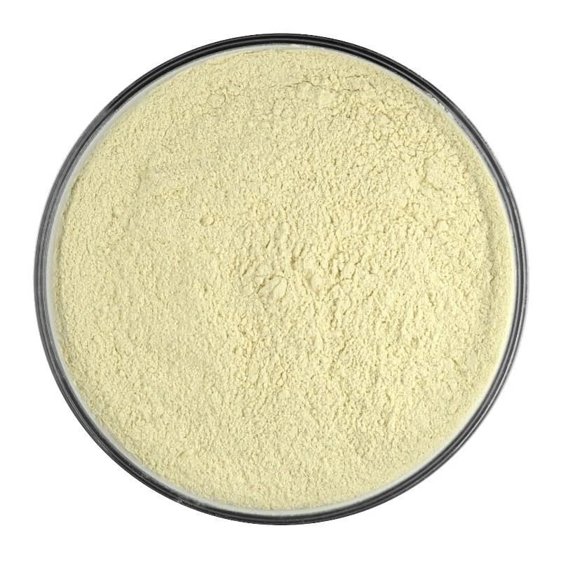 Zwiebel Pulver Bio 60 gr.