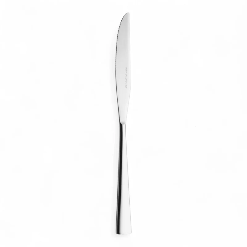 12 Stück Hepp Steakmesser MB ACCENT vers.