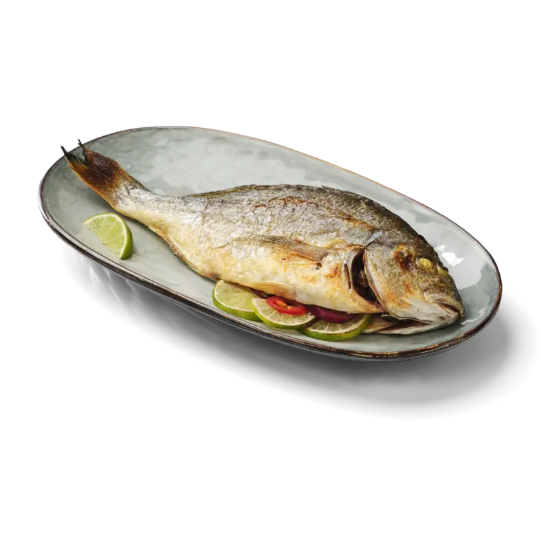 Visspecialist Hele dorade