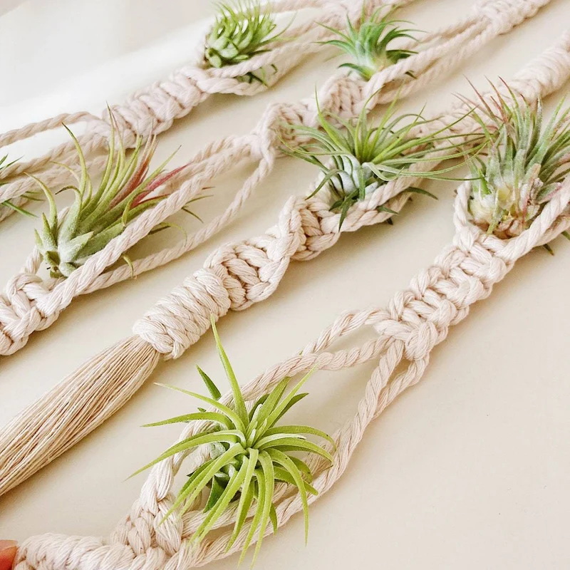 Elegante Macrame-Pflanzenwandbehänge Karnz