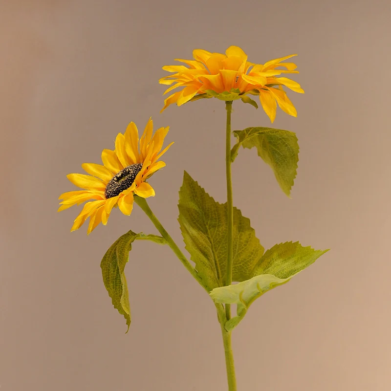 Dekorative Sonnenblume Karnz
