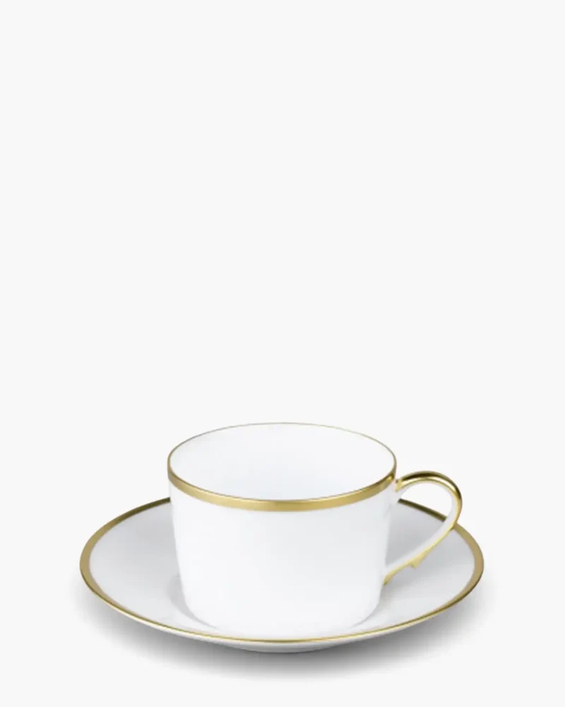 Raynaud Fontainebleau tea cup with saucer in Limoges porcelain