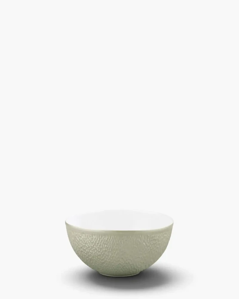 Raynaud Minéral bowl in Limoges porcelain with coloured decoration