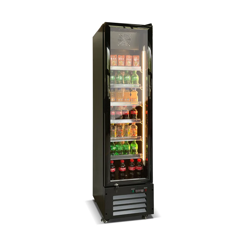 Getränkekühlschrank 220 Liter – schwarz – 420 X 485 X 1890 mm