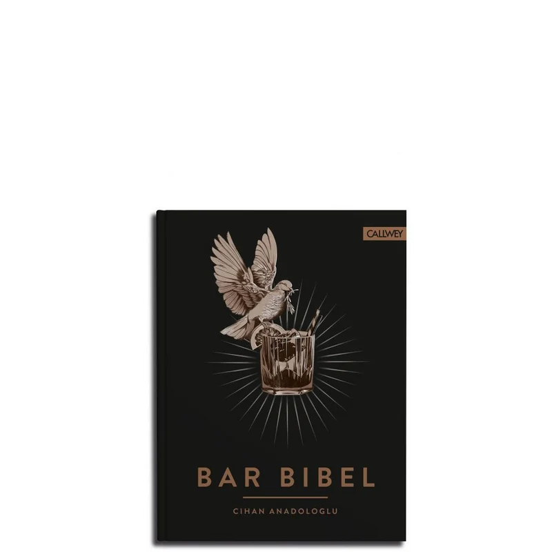 Bar Bibel