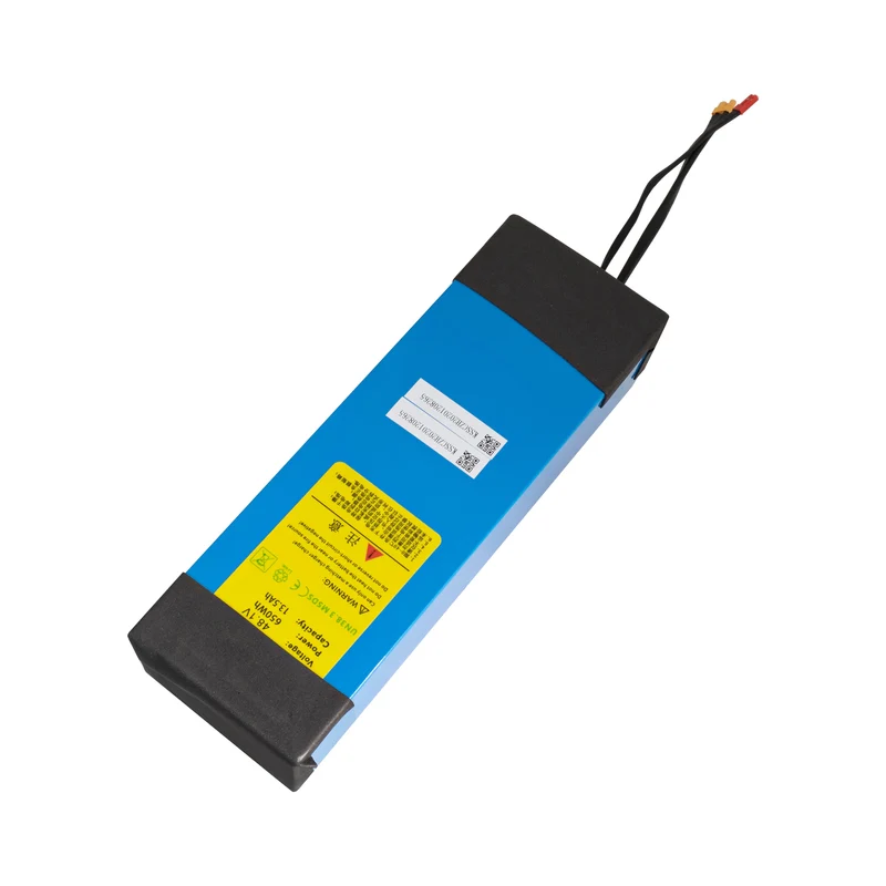 E-Way E-600 MAX battery pack