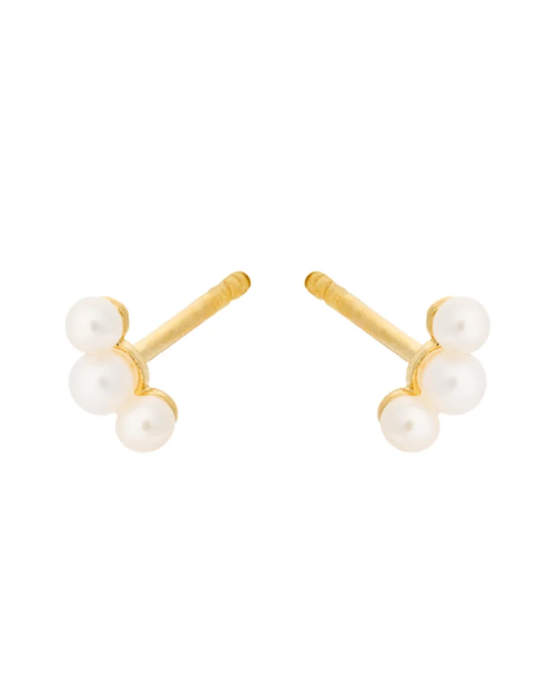 Ohrstecker Ocean Pearl - gold