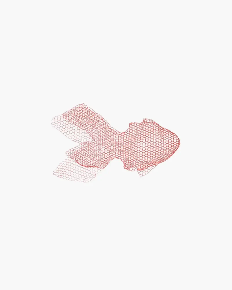 Magis Me Too Fish metal mesh fish-shaped decoration