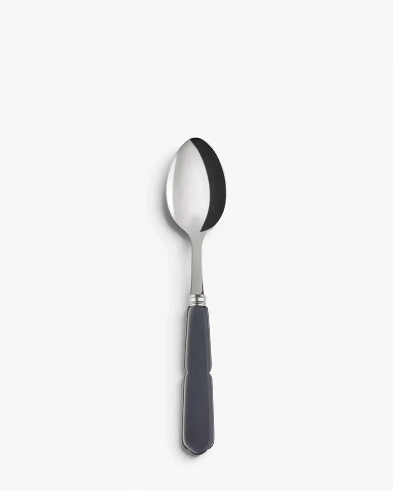 Sabre Paris Gustave stainless steel dessert spoon with acrylic handle