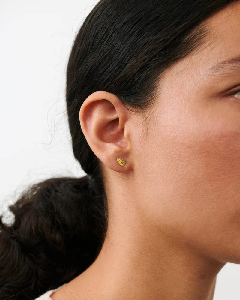 Elm Leaf Ohrstecker - Gold