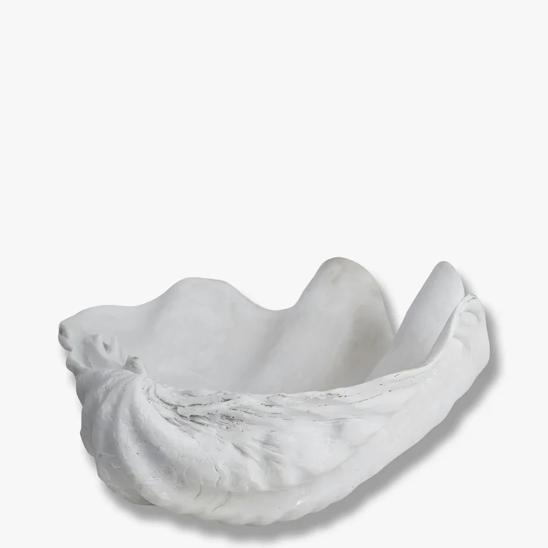 Muschel Shell klein