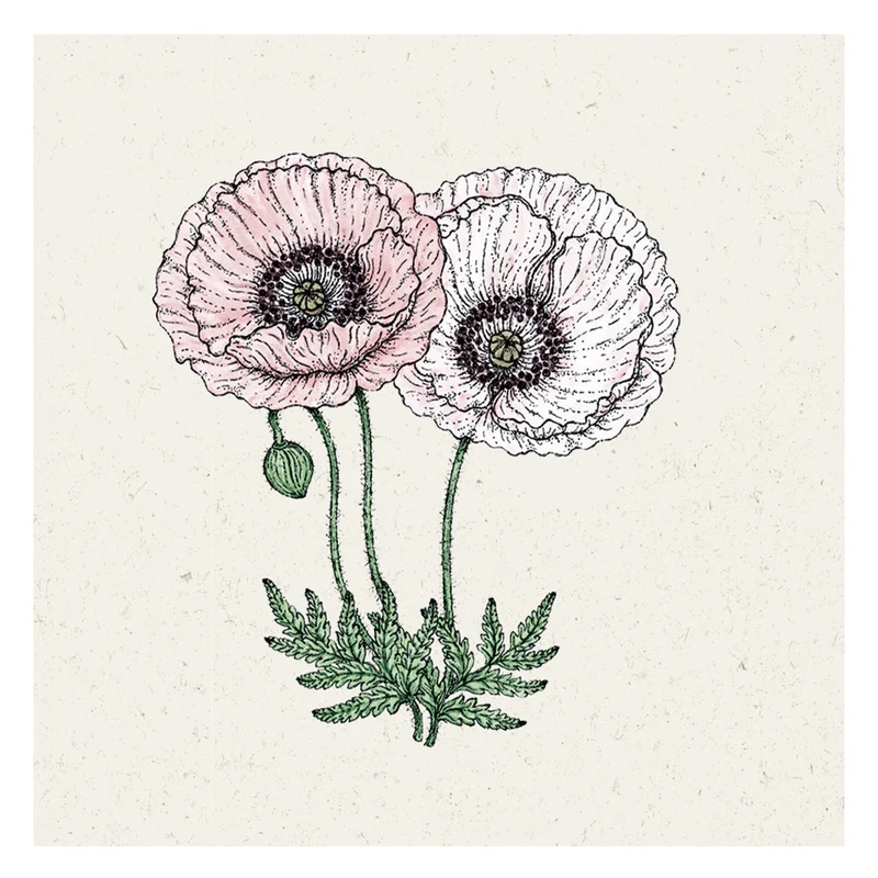 Blumensamen - Papaver rhoeas "Mother Of Pearl" (Klatschmohn)
