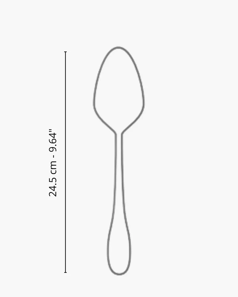 Broggi Gaia Serving Spoon polished steel