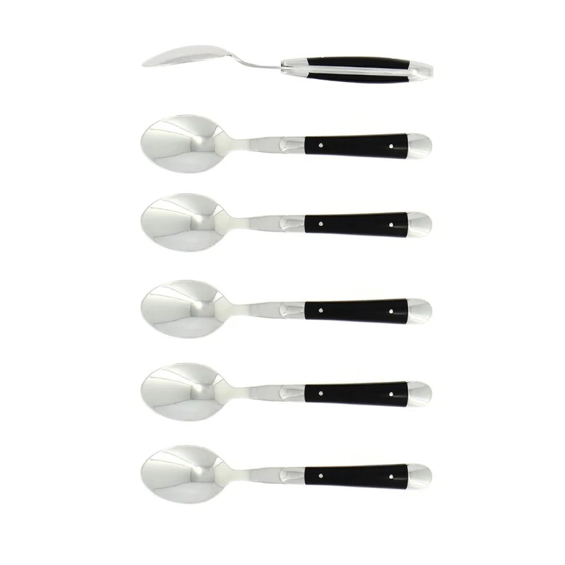 Forge de Laguiole Tradition set 6 coffee spoons with acrylic handle