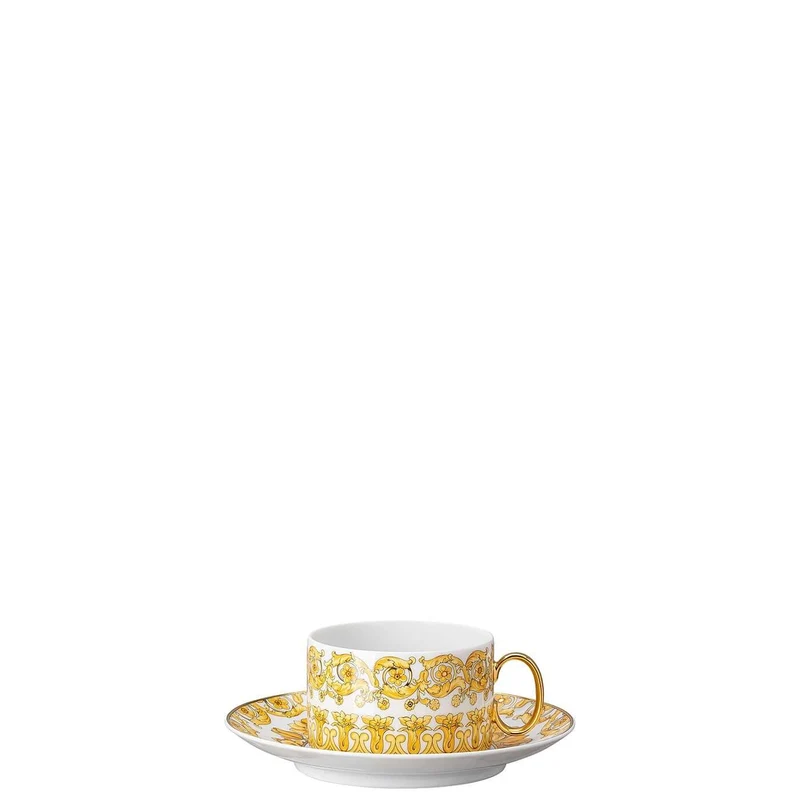 Versace meets Rosenthal Medusa Rhapsody Tea cup and saucer