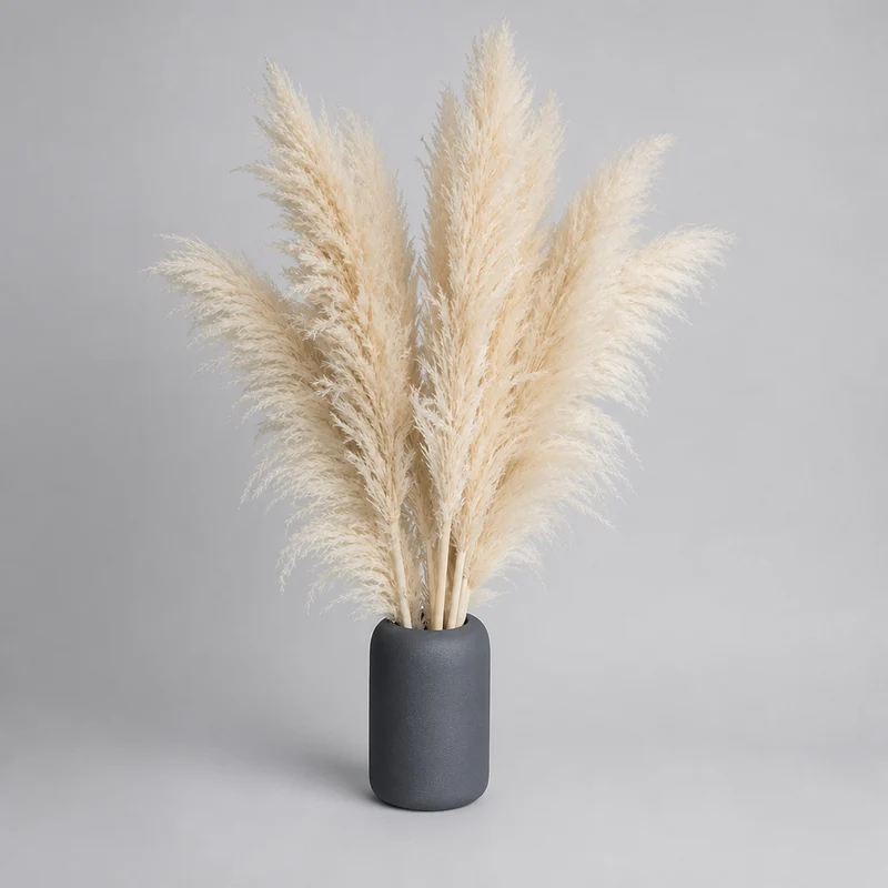 MEADOWHAVEN – Dried Pampas Grass for Timeless Decorative Character