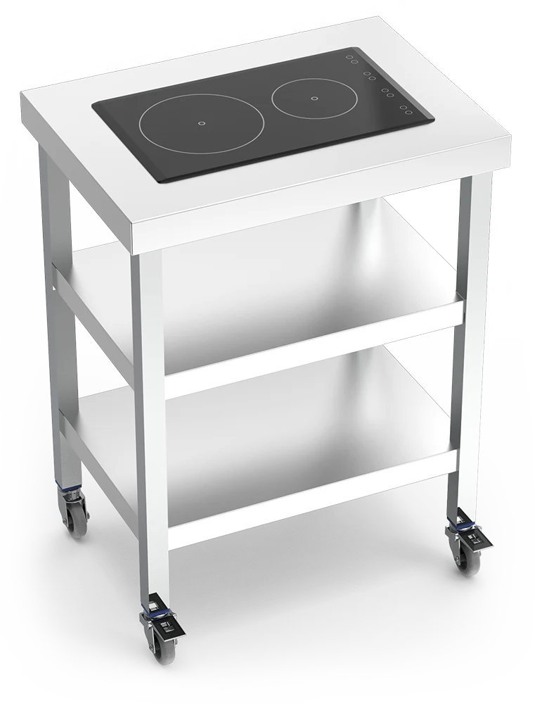 Cuisinière inox professionnelle induction portable 2 foyers