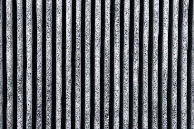 Stadler Form Roger particle filter