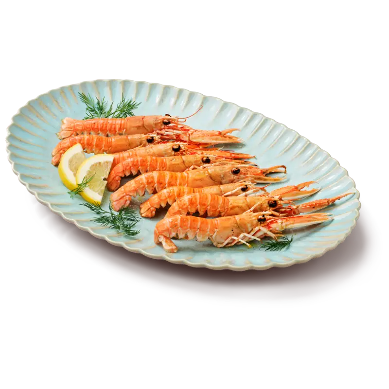 Visspecialist Langoustines